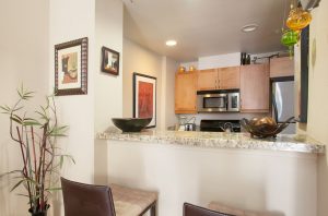 503 K St Unit 208